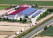 logistica-disponibile-affitto-vendita-taglio-di-po